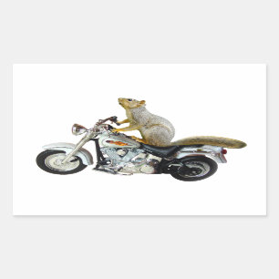 Pegatina Rectangular Ardilla en la motocicleta