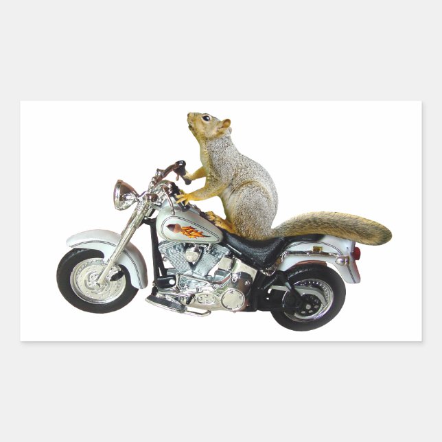 Pegatina Rectangular Ardilla en motocicleta (Anverso)