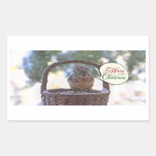 Pegatina Rectangular Ardilla en nieve dice Feliz Navidad