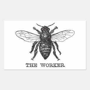 Pegatina Rectangular Arte de ilustración vintage de abeja trabajadora