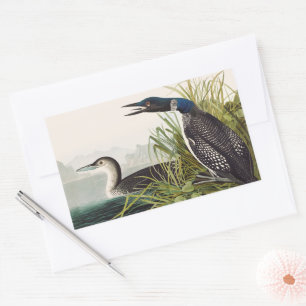 Pegatina Rectangular Arte de la Naturaleza del Pájaro Somorgujo Común d