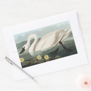 Pegatina Rectangular Arte de Nenúfar Blanco Audubon Vintage