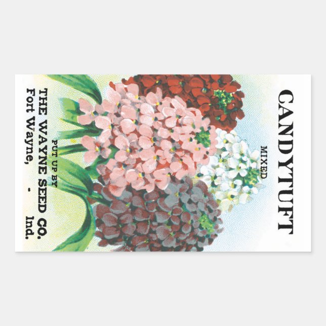 Pegatina Rectangular Arte de Paquete de Semillas Antiguas, Flores de Ja (Anverso)
