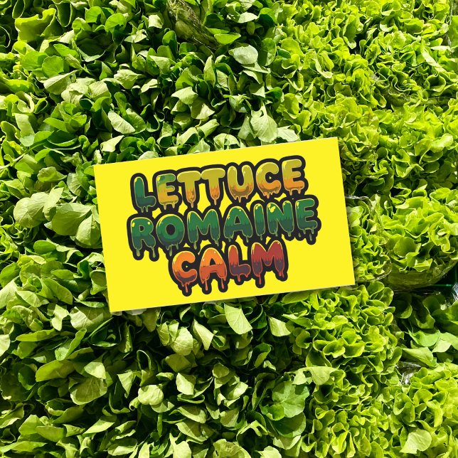 Pegatina Rectangular Arte de texto tranquilo de lechuga romana (Subido por el creador)