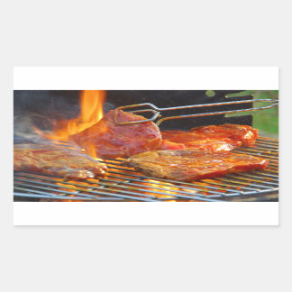 Pegatina Rectangular asado a la parilla