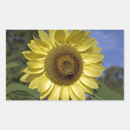 Pegatina Rectangular Atardecer de verano perfecto en el cielo azul.