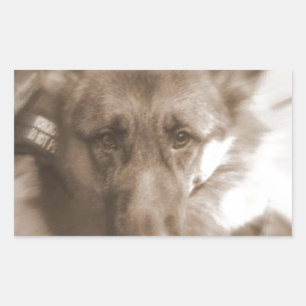 Pegatina Rectangular Atlas el perro maravilla