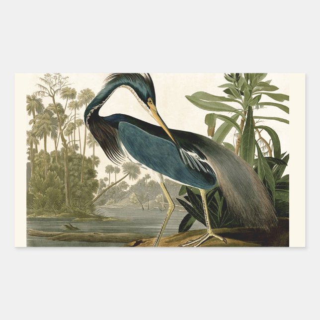 Pegatina Rectangular Audubon Louisiana Heron Birds America Art (Anverso)
