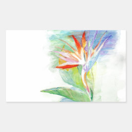 Pegatina Rectangular Ave del paraíso