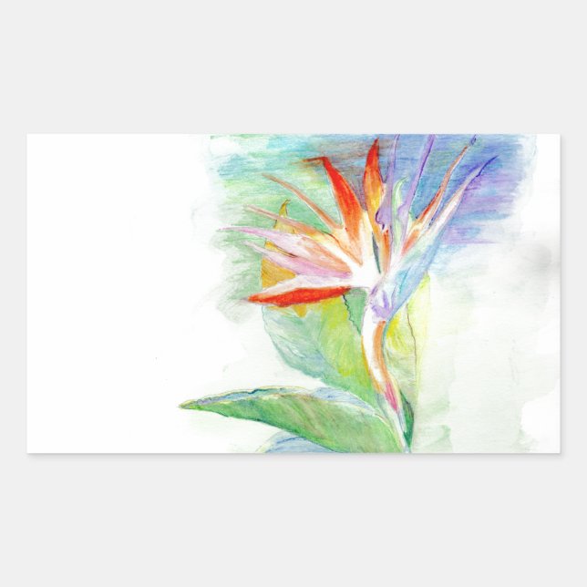 Pegatina Rectangular Ave del paraíso (Anverso)