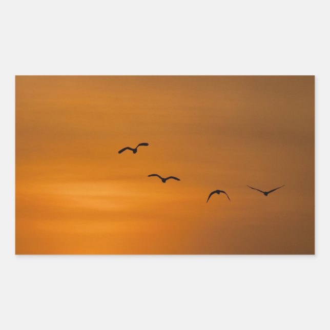 Pegatina Rectangular Aves volando al atardecer (Anverso)