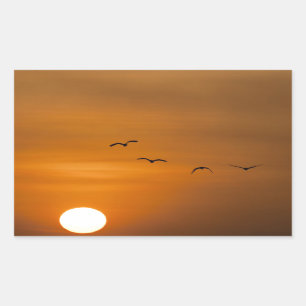 Pegatina Rectangular Aves volando al atardecer
