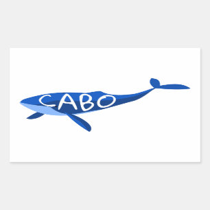 Pegatina Rectangular Ballena de Cabo México