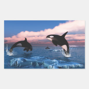Pegatina Rectangular Ballenas Asesinas En El Océano Ártico