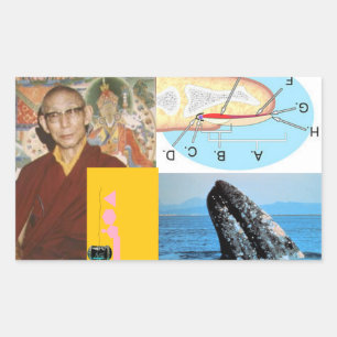 Pegatina Rectangular Ballenas en el clavo