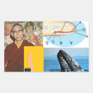 Pegatina Rectangular Ballenas en el clavo