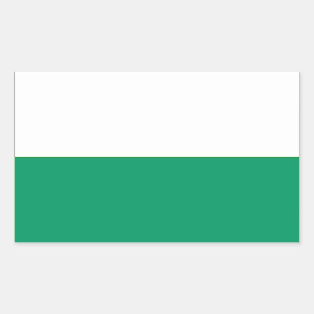 Pegatina Rectangular Bandera de 4 Aalten (Anverso)