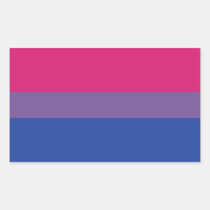 Pegatina Rectangular Bandera de Bi
