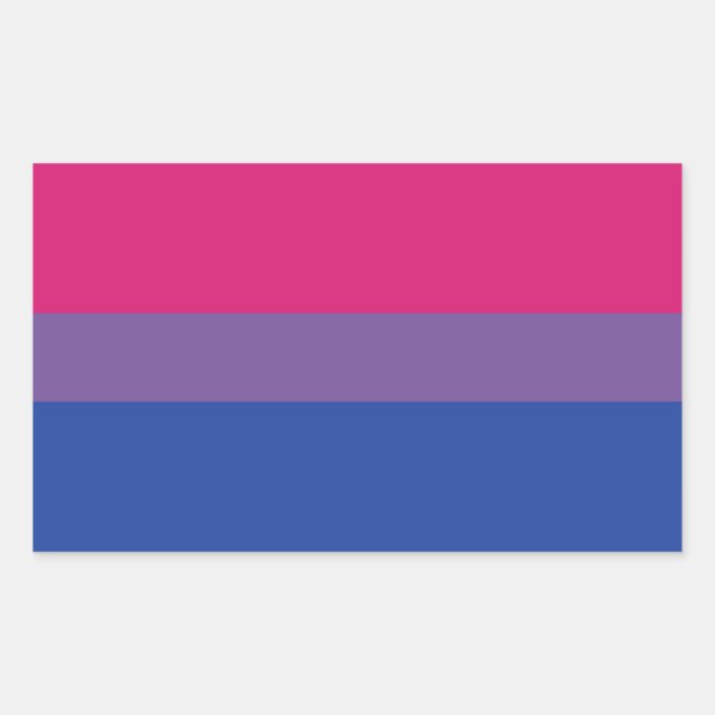 Pegatina Rectangular Bandera de Bi (Anverso)
