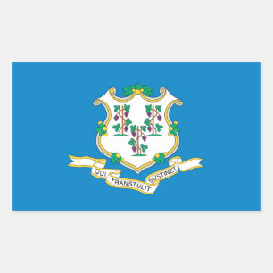 Pegatina Rectangular Bandera de conexión