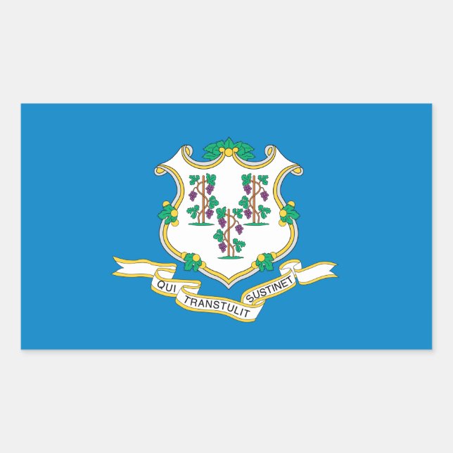Pegatina Rectangular Bandera de conexión (Anverso)
