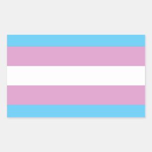 Pegatina Rectangular Bandera de Orgullo Trans - (2)