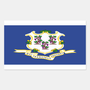 Pegatina Rectangular Bandera del estado de conexión