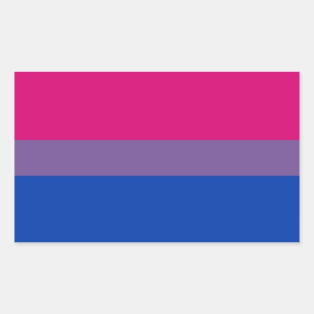 Pegatina Rectangular Bandera del Orgullo Bisexual (Anverso)