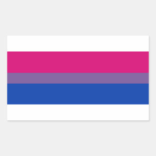 Pegatina Rectangular Bandera del Orgullo Bisexual