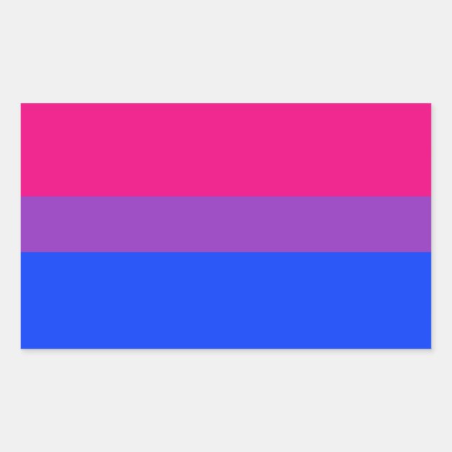 Pegatina Rectangular Bandera del Orgullo Bisexual (Anverso)