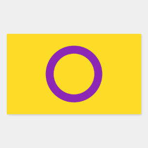 Pegatina Rectangular Bandera del Orgullo Intersexual