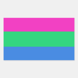 Pegatina Rectangular Bandera del Orgullo Polisexual