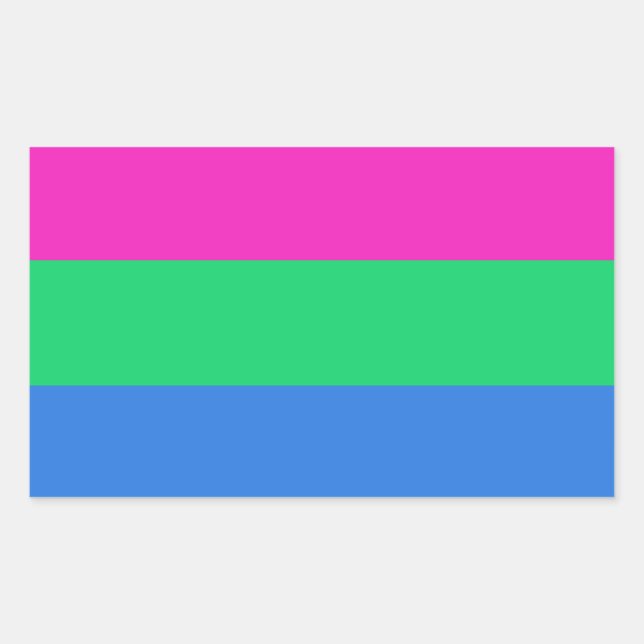 Pegatina Rectangular Bandera del Orgullo Polisexual (Anverso)