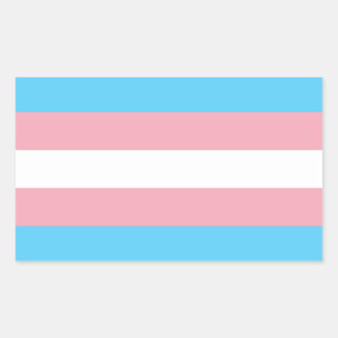 Pegatina Rectangular Bandera del Orgullo Transgénero