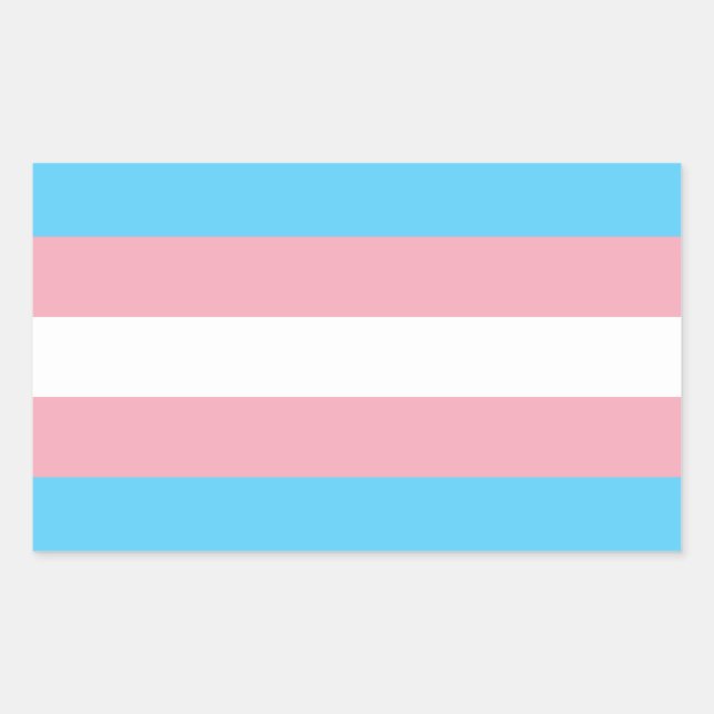 Pegatina Rectangular Bandera del Orgullo Transgénero (Anverso)