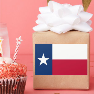 Pegatina Rectangular Bandera Estatal de Texas