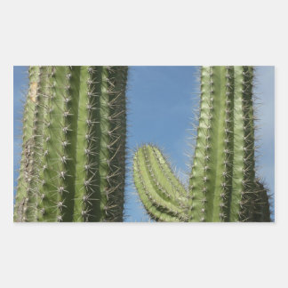 Pegatina Rectangular Barrel Cactus I Desert Photo