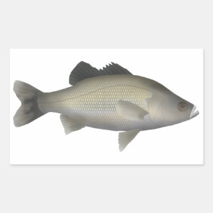 Pegatina Rectangular Bass australiano