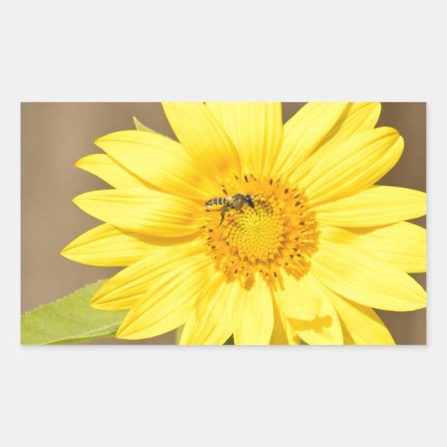 Pegatina Rectangular Bee on Sunflower (Anverso)