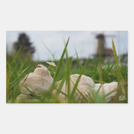 Pegatina Rectangular Beer relaxt in natuur met Hollandse molen.