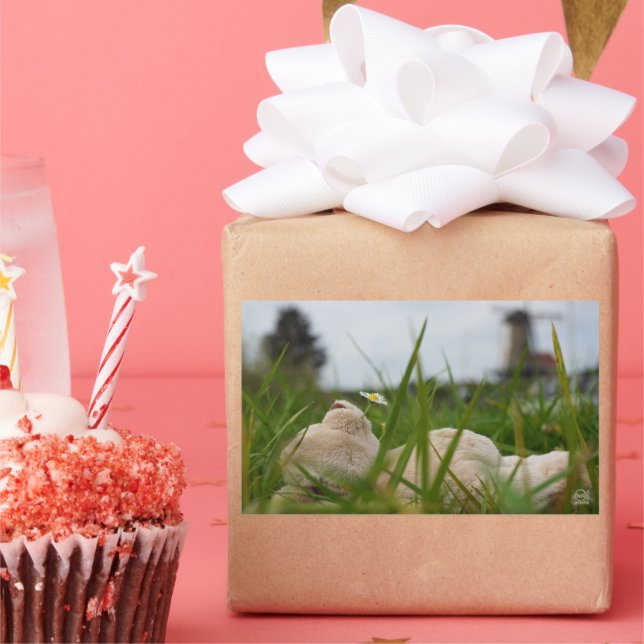 Pegatina Rectangular Beer relaxt in natuur met Hollandse molen. (Fiesta)