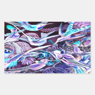 Pegatina Rectangular Bella Artes Hummingbird