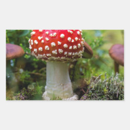 Pegatina Rectangular Belleza de otoño