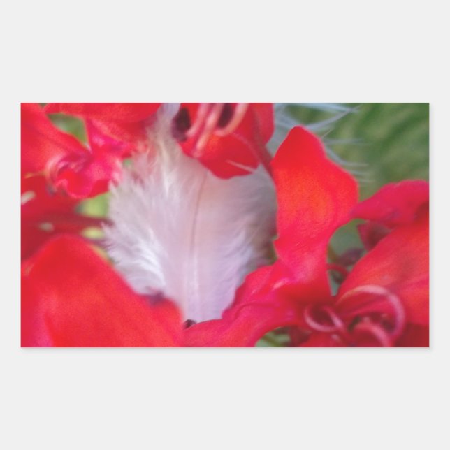 Pegatina Rectangular Belleza Delicada: Flor roja con pluma blanca (Anverso)