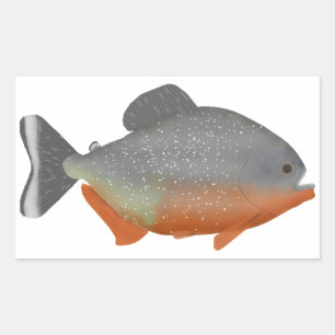 Pegatina Rectangular Belly rojo Piranha