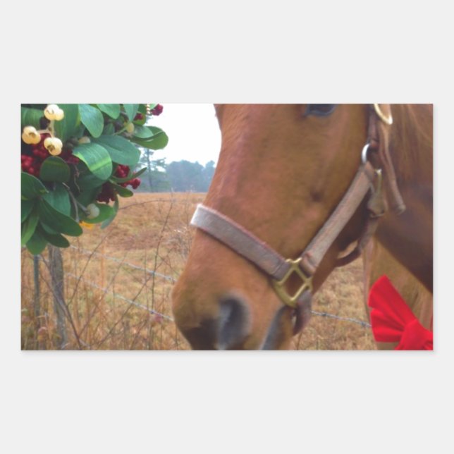 Pegatina Rectangular Besando caballo bajo Mistletoe (Anverso)