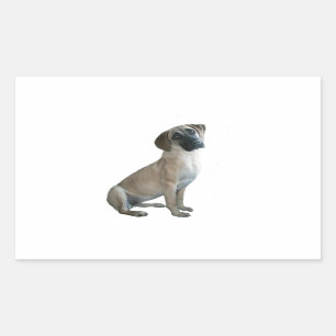 Pegatina Rectangular Black Mouth Cur #1
