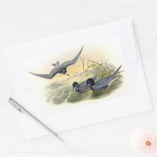Pegatina Rectangular Black Tern