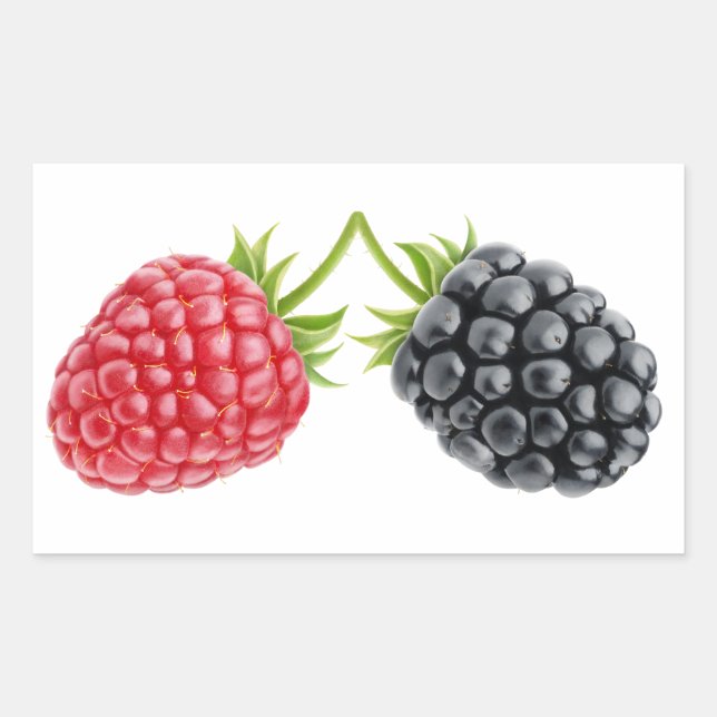 Pegatina Rectangular Blackberry y frambuesa (Anverso)