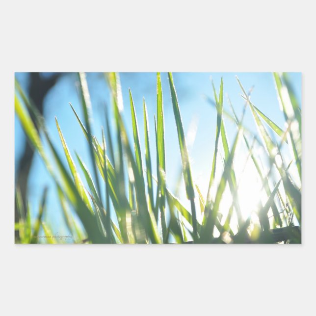 Pegatina Rectangular Blades iluminados por el sol (Anverso)